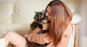 Супер интересни факти за котките