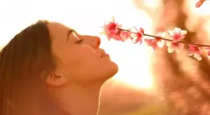 С тази притча трябва да започвате всяка седмица - прочетете я 