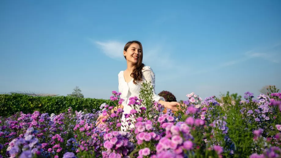 Фаза на Луната на 27 май 