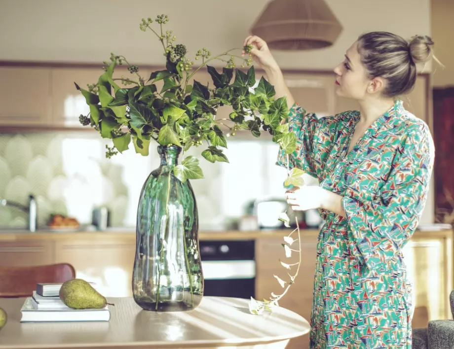 Ето кое цвете за коя стая е най-подходящо 