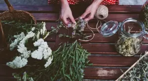 Билките, които привличат богатството