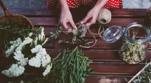 5 билки, които всяка жена трябва да има у дома