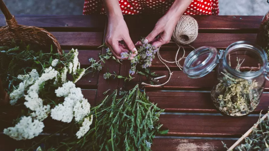 5 билки, които всяка жена трябва да има у дома