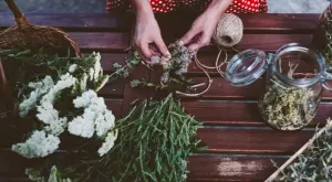 Това е плевелът, който лекува всичко - от ужилвания до инфекции