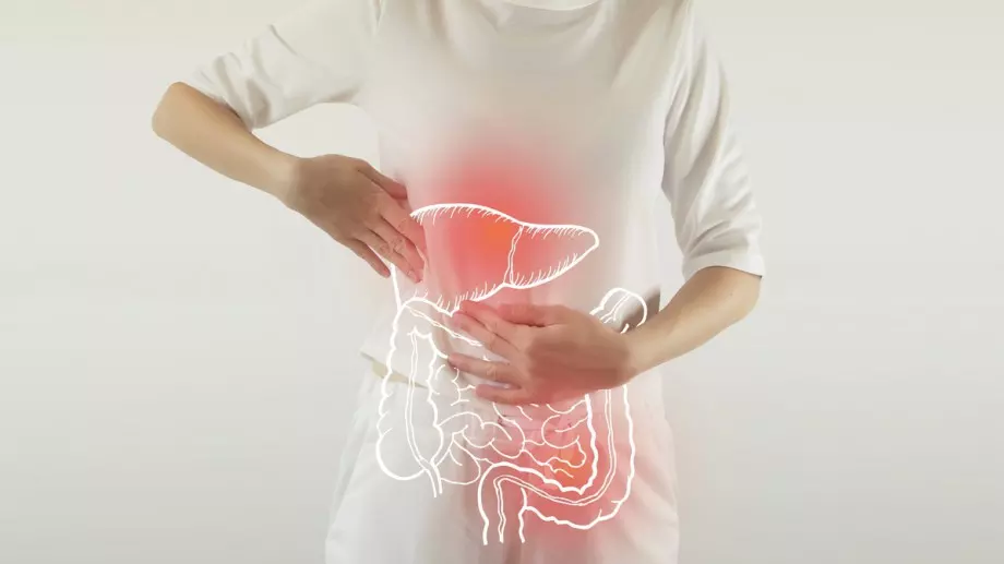 Учени развенчаха най-големите митове, свързани с чревното здраве