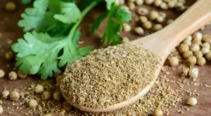 Ето защо всеки трябва да консумира кориандър