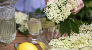 Най-лесната и ароматна рецепта за сок от бъз