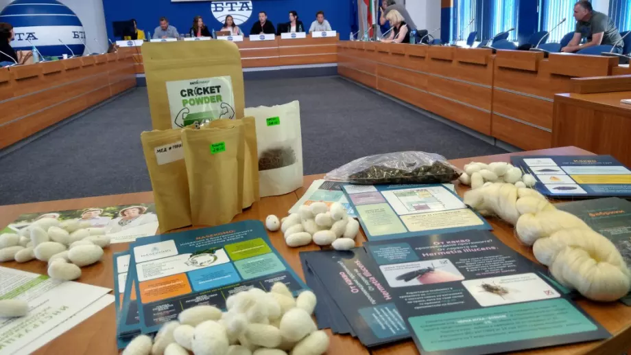 Производители и преработватели на насекоми искат правна регламентация за сектор "Инсекти"
