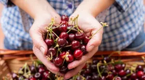 Какво се прави на Черешова задушница