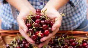 Ето защо не трябва да ядете повече от една купа череши на ден 