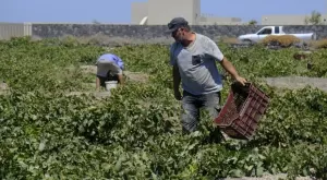 Започване на работа в чужбина: Как да се защитим от измами?