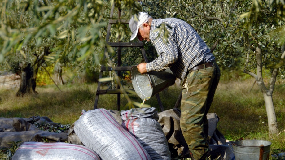 Οι Έλληνες αγρότες χρεοκοπούν μαζικά, εγκαταλείπουν τις επιχειρήσεις