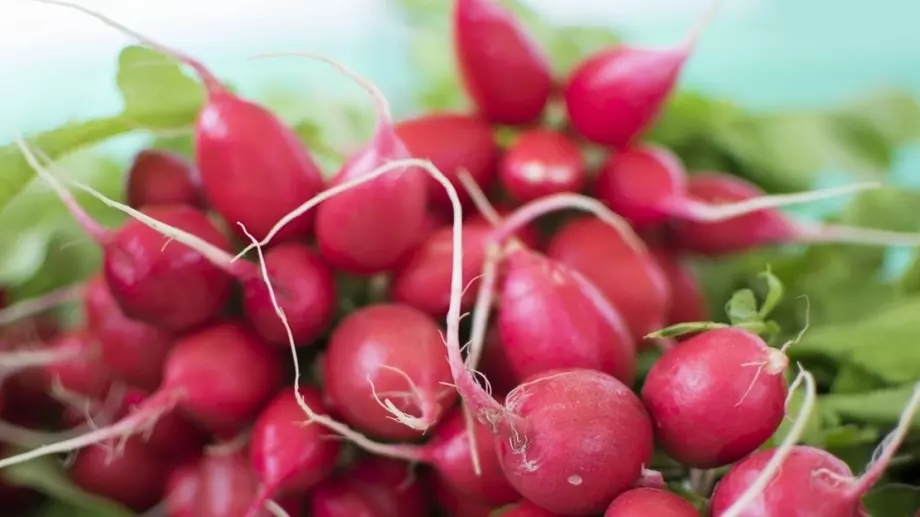 Как да съхранявате репички за оптимална свежест