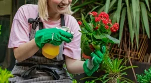 Само 2 лъжици от тази съставка и цветята ви ще цъфтят цяло лято