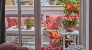 Как да превърнем терасата в летен оазис с мушкато (СНИМКИ)