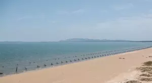 2022/05/27/0264598001653643223