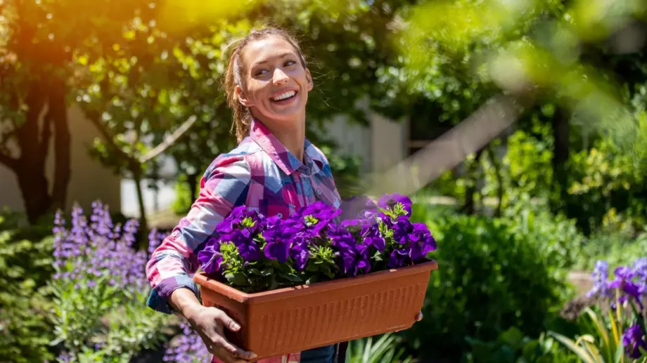 Късметче на деня за всяка зодия за днес - 3 юли