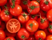 Готварската съставка, от която доматите най-много се нуждаят през ЮЛИ 
