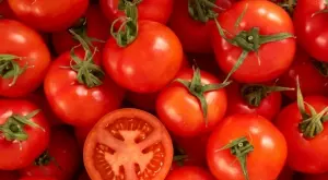 Стотици милиони индийци спряха да купуват домати. Защо?