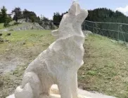 Двутонен каменен вълк е най-новата атракция на "Вълчи камък" (СНИМКИ)