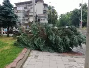 След пороя и силния вятър: Видин и Козлодуй се възстановяват от силната буря 