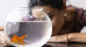 Виц за днес: Една жена хванала златната рибка