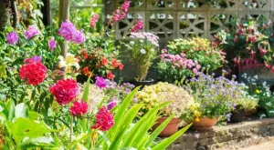 5 цветя, които се борят с плевелите - задължително ги засадете в градината си