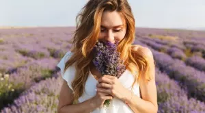 8 страхотни ползи на маслото от лавандула