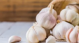 Опитните градинари съхраняват чесъна така и той издържа до следващата есен