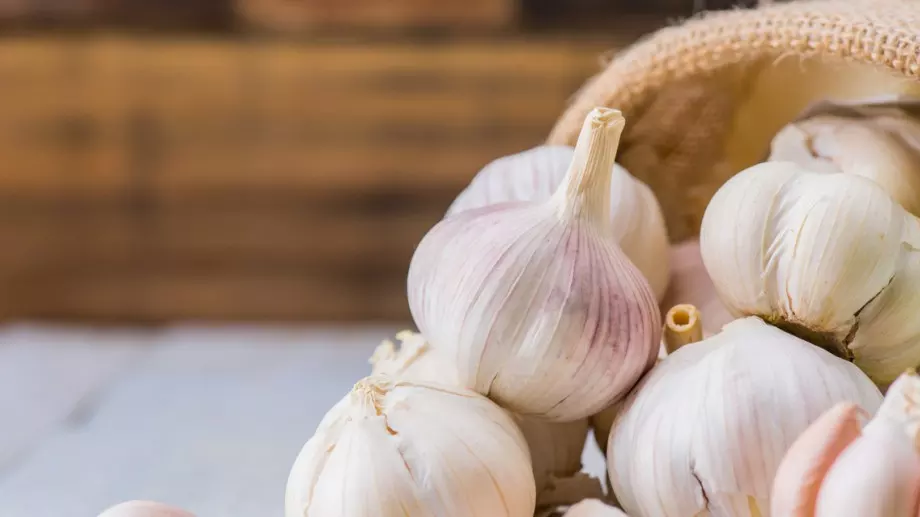 Златните правила за засаждане на зимен чесън