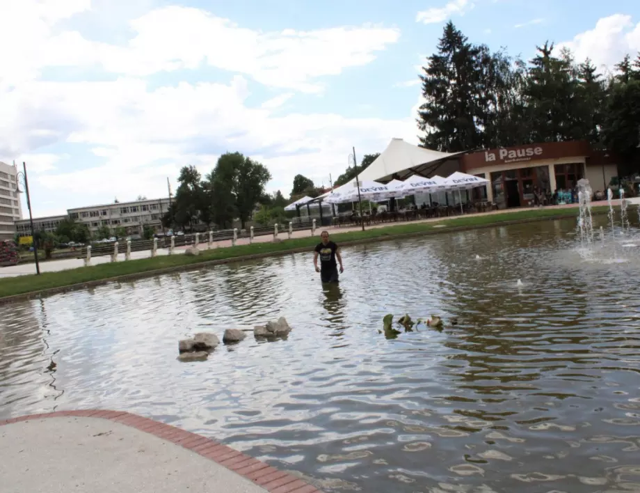Община Самоков постави лилии в местното езеро