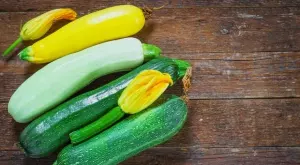 Каква е разликата между различните видове тиквички