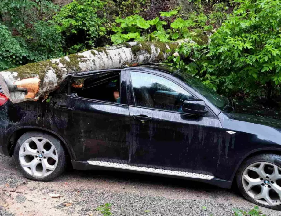 Дърво смаза кола, паркирана точно преди срутения участък между Тешел и Триград