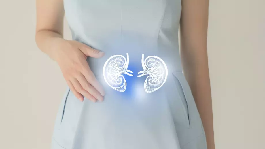 6 храни, които нашите бъбреци обичат