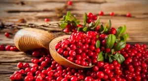 Ползи от червените боровинки