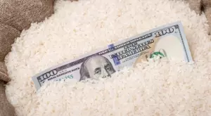 Засилване на инфлацията при храните: Индия ограничава и износа на ориз