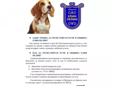 Община Елин Пелин представи информация за регистрираните кучета
