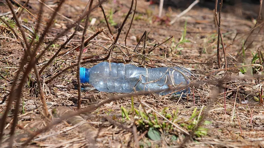 Организират почистване на Витоша тази събота