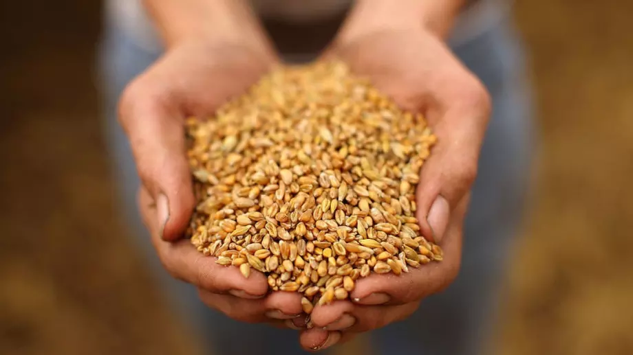 Складовете на българските производители съхраняват над 3 млн. тона пшеница