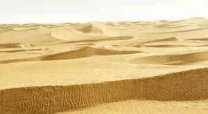 Ако преминавате през труден момент в живота, прочетете тази притча