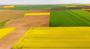 Земеделската земя в Добруджа достигна рекордна цена