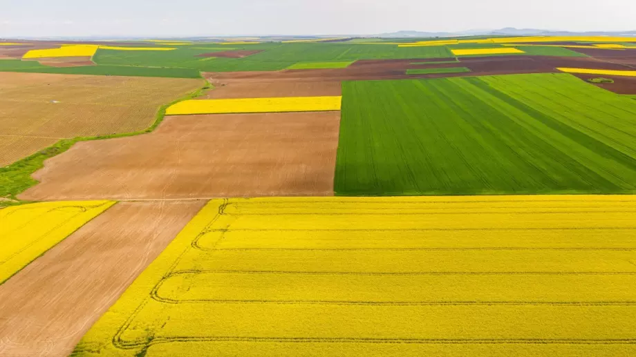 Земеделската земя поскъпва значително, в две общини средната цена надхвърля 3000 лева за декар