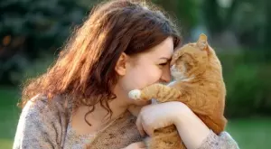 Тези факти за котките ще ви изумят!