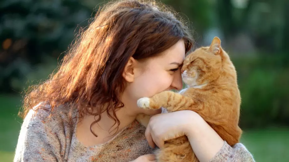 Тези факти за котките ще ви изумят!