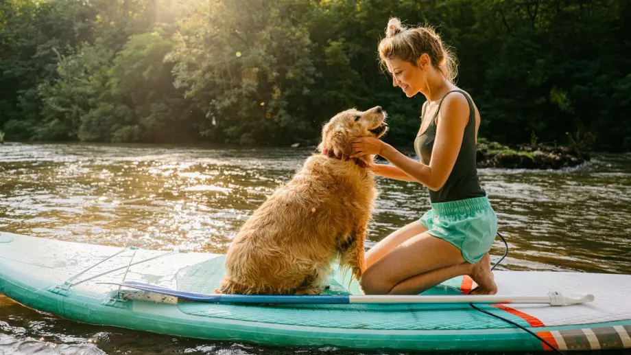 Хороскоп за днес, 20 август