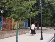 Община Видин се погрижи за дръвче, частично прекършено от вандали