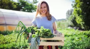 Ето как да подхраните почвата през пролетта, за да имате богата реколта през лятото