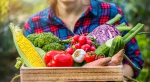 Елексирът, с който всичко в градината ви ще никне като лудо