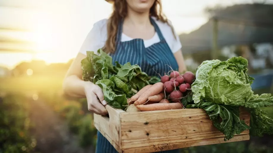 Рецептата на баба за богата реколта на всички зеленчуци в градината