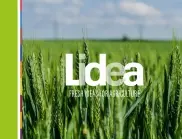 Lidea вече е сред 10-те най-големи световни компании в областта на производството и дистрибуцията на семена